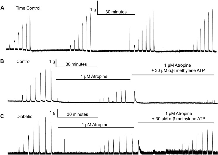 Fig. 5.