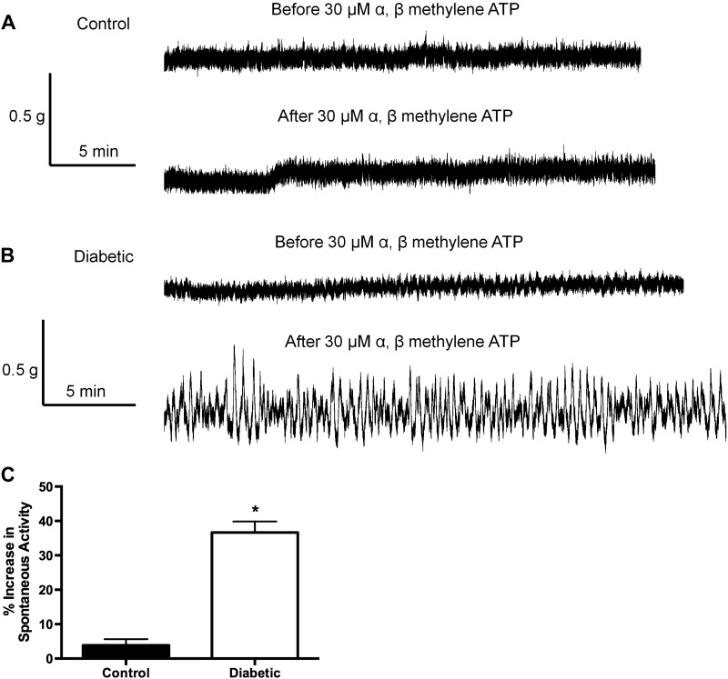 Fig. 8.