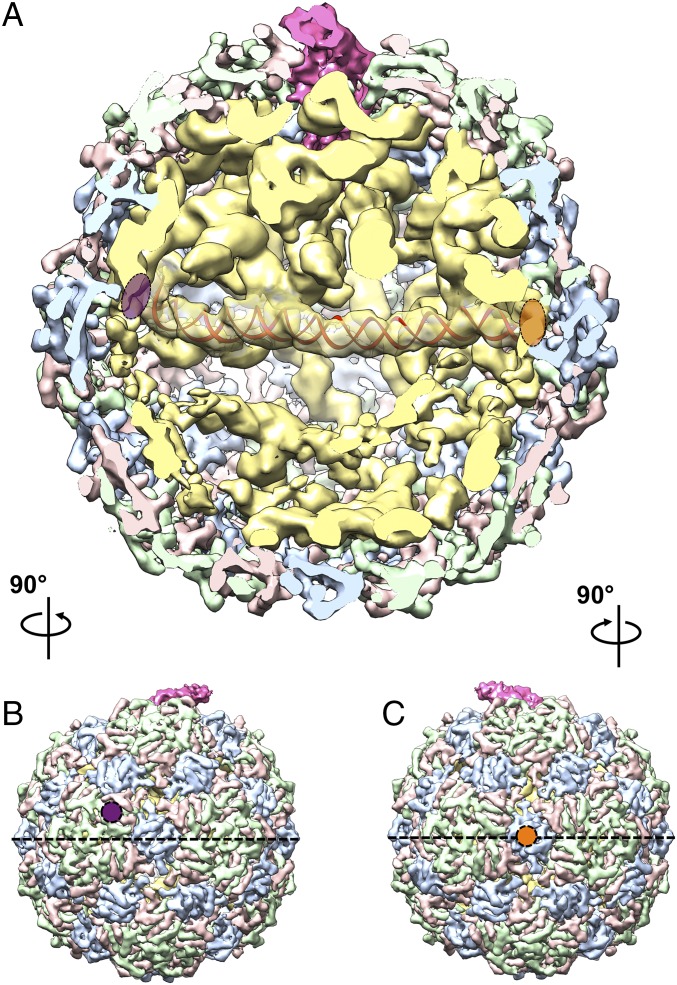 Fig. 3.