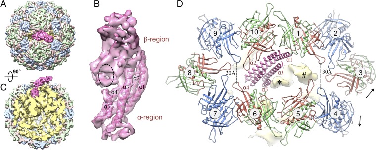 Fig. 2.