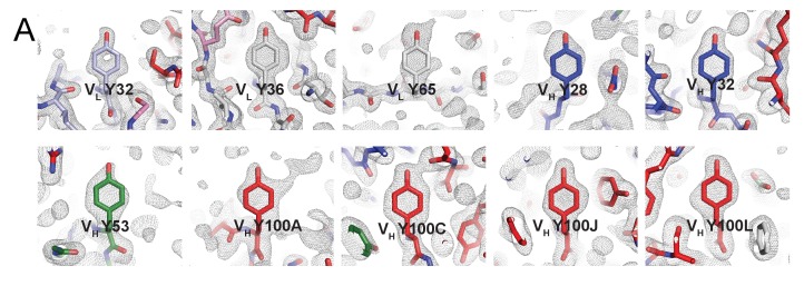 Figure 1—figure supplement 1.