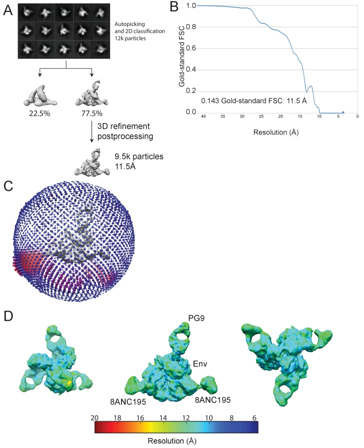 Figure 4—figure supplement 1.