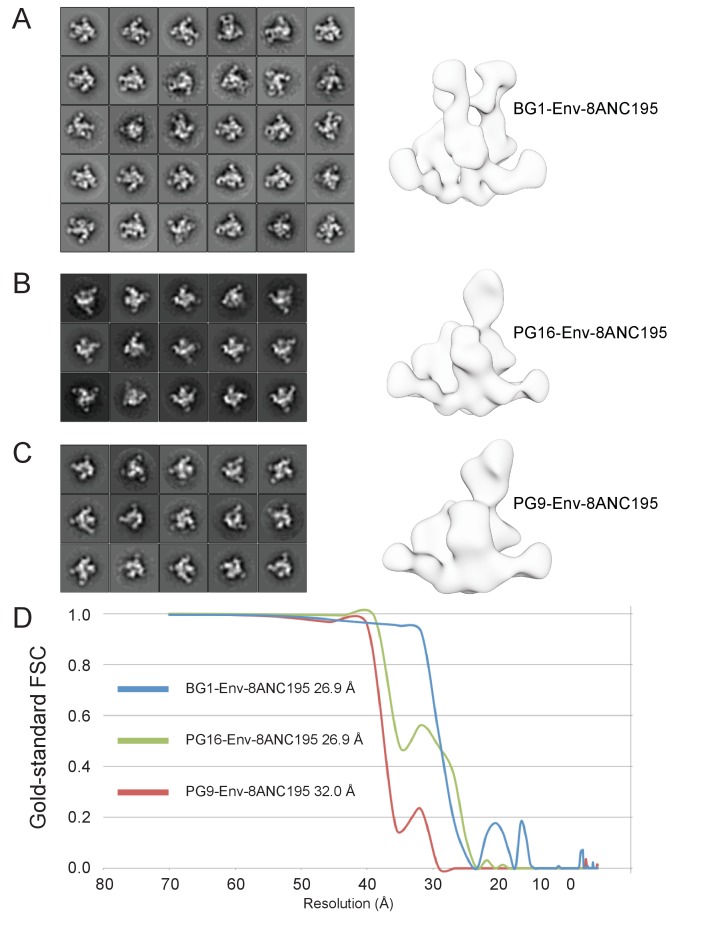 Figure 2—figure supplement 1.