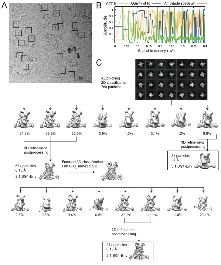 Figure 3—figure supplement 1.