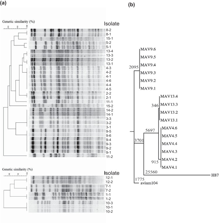 FIG 1