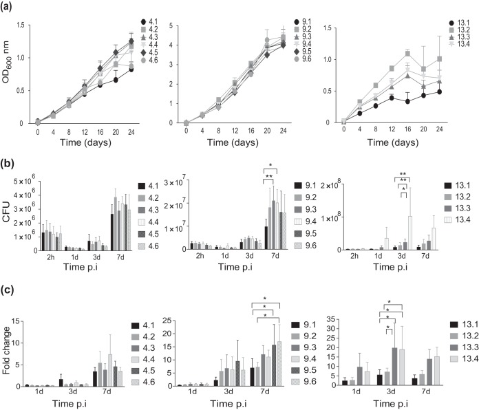 FIG 3