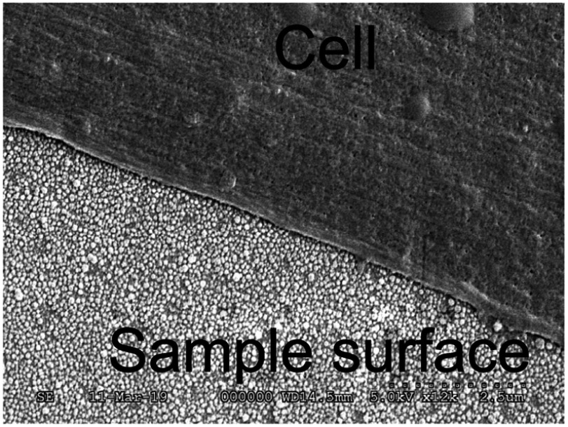 Figure 7