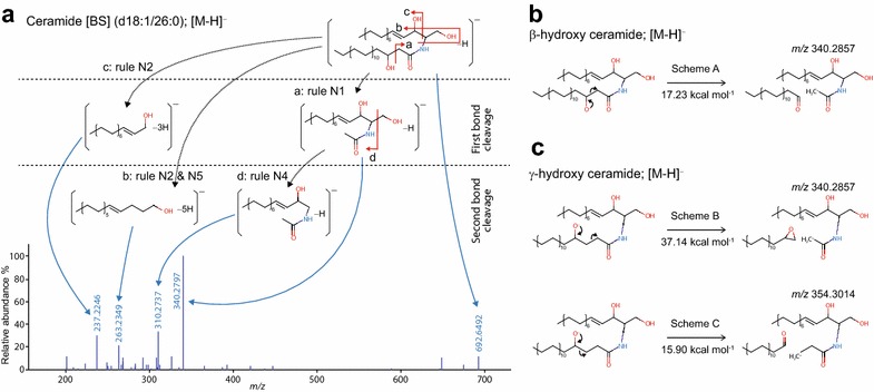 Fig. 4