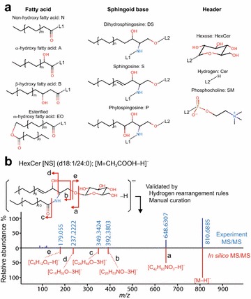 Fig. 1