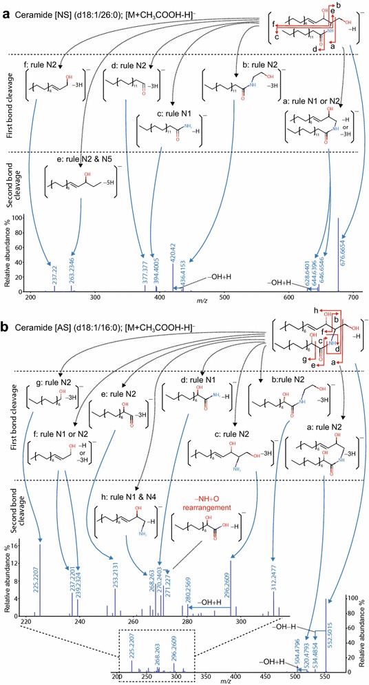 Fig. 2