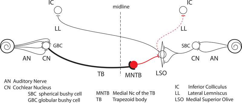 Figure 2: