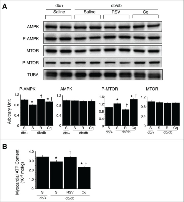 Figure 10.