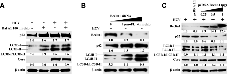 Figure 6