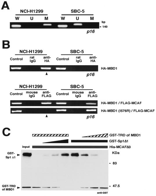 FIG. 5.