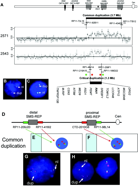 Figure  2. 