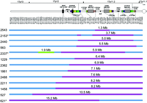 Figure  6. 