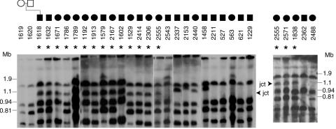 Figure  1. 