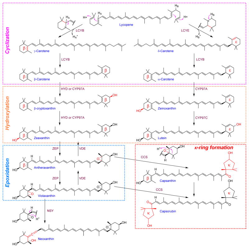 Figure 11