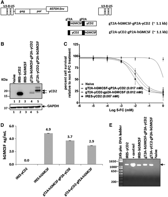 Figure 6.