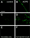 Fig. 9.