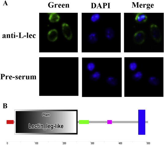 Fig. 4