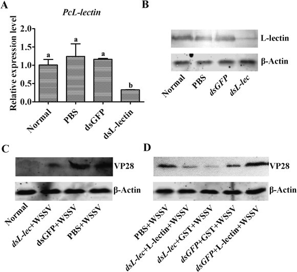 Fig. 6