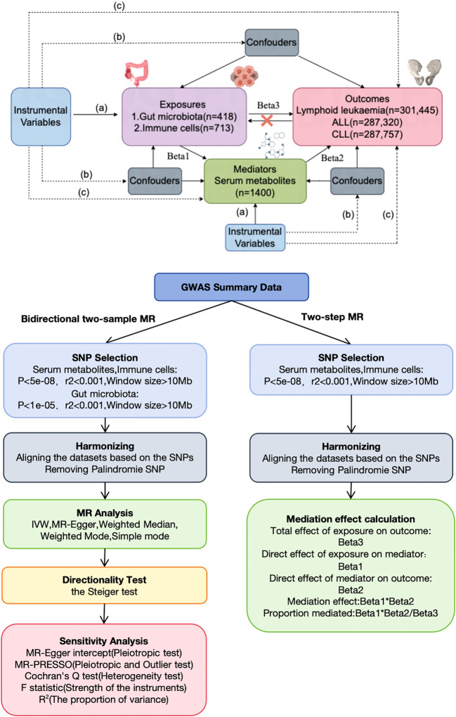 Figure 1