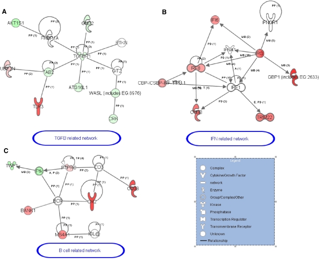 Figure 4.