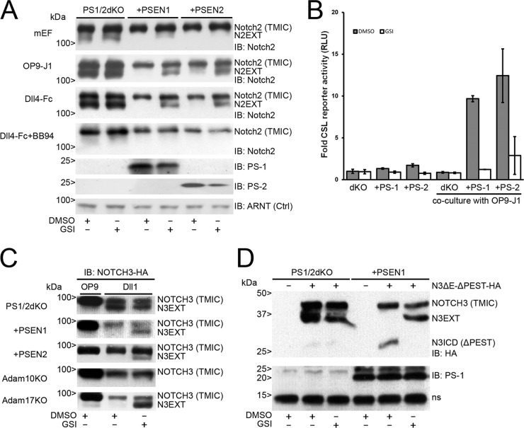 FIG 2