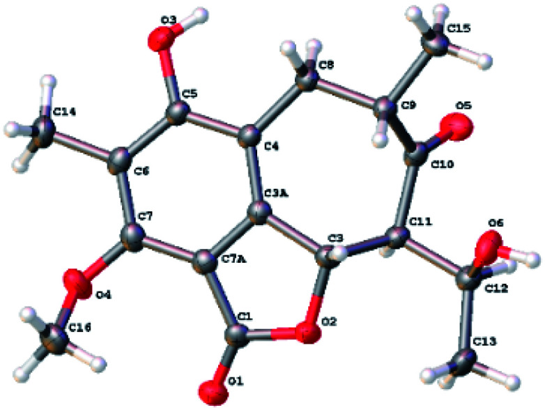 Fig. 4