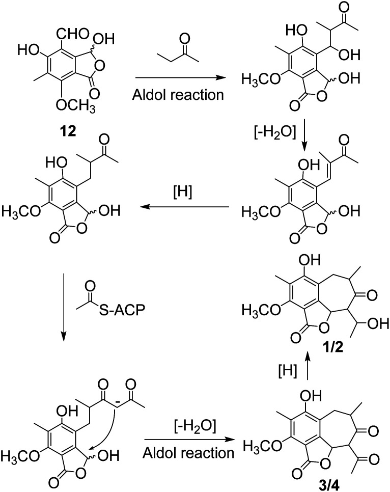 Scheme 1