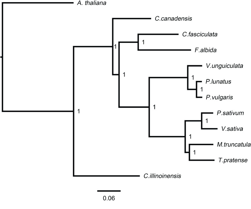 Figure 7.