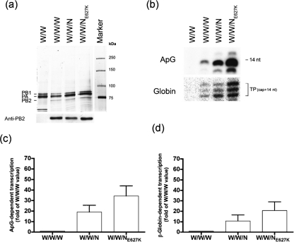 Fig. 4.