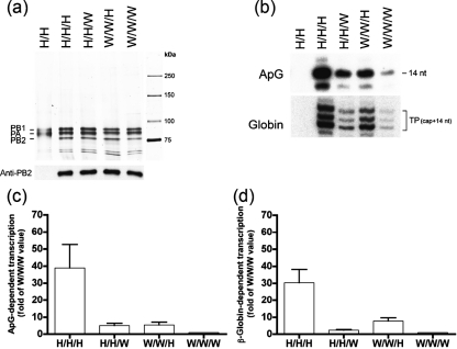 Fig. 2.