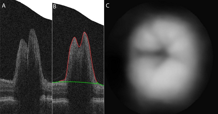 Figure 2. 