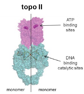 Fig. (6)