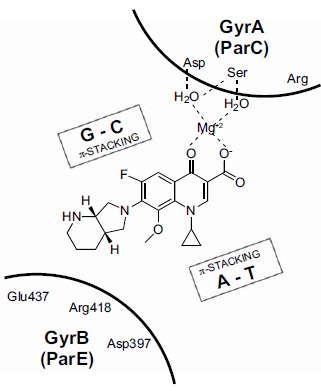 Fig. (5)