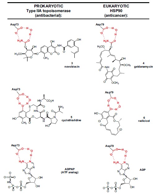 Fig. (2)