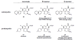 Fig. (9)