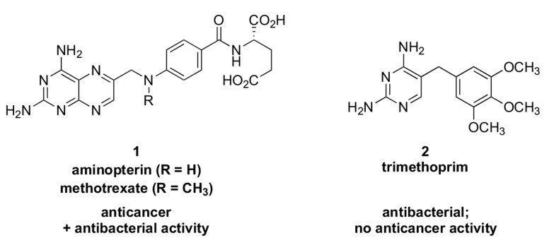 Fig. (1)