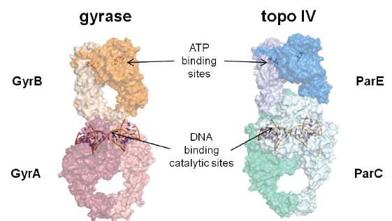 Fig. (4)