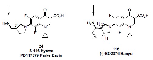 Fig. (11)