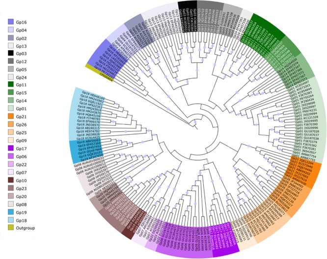 The Ecology of Acidobacteria: Moving beyond Genes and Genomes - PMC