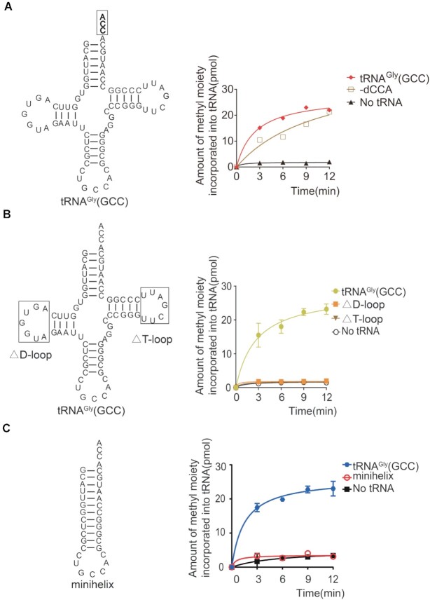 Figure 6.