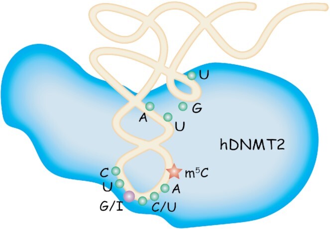 Figure 9.