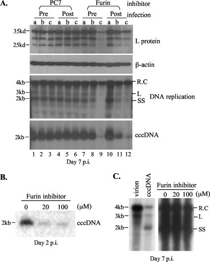 FIG. 8.