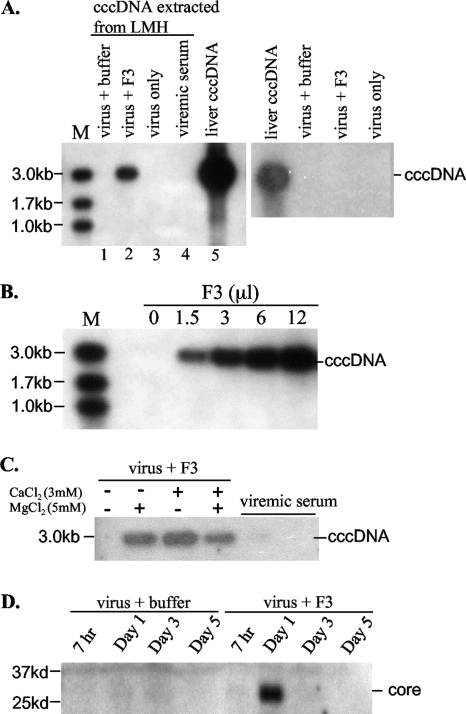 FIG. 7.