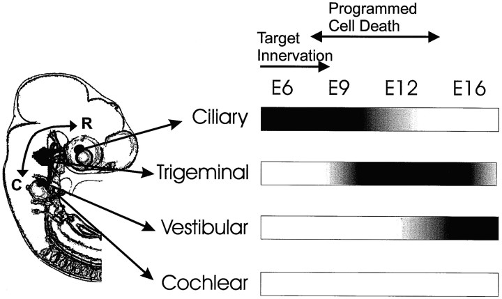 Fig. 10.