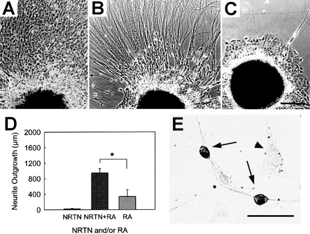 Fig. 9.