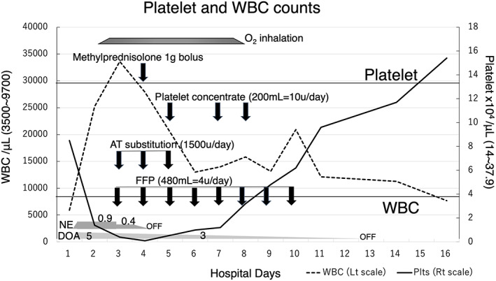 FIGURE 1